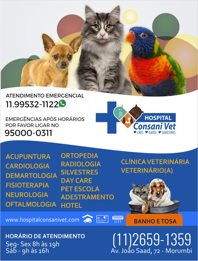 clnica veterinria no Morumbi, So Paulo, cardiologia, oftalmologia, mdico veterinrio, fisioterapia